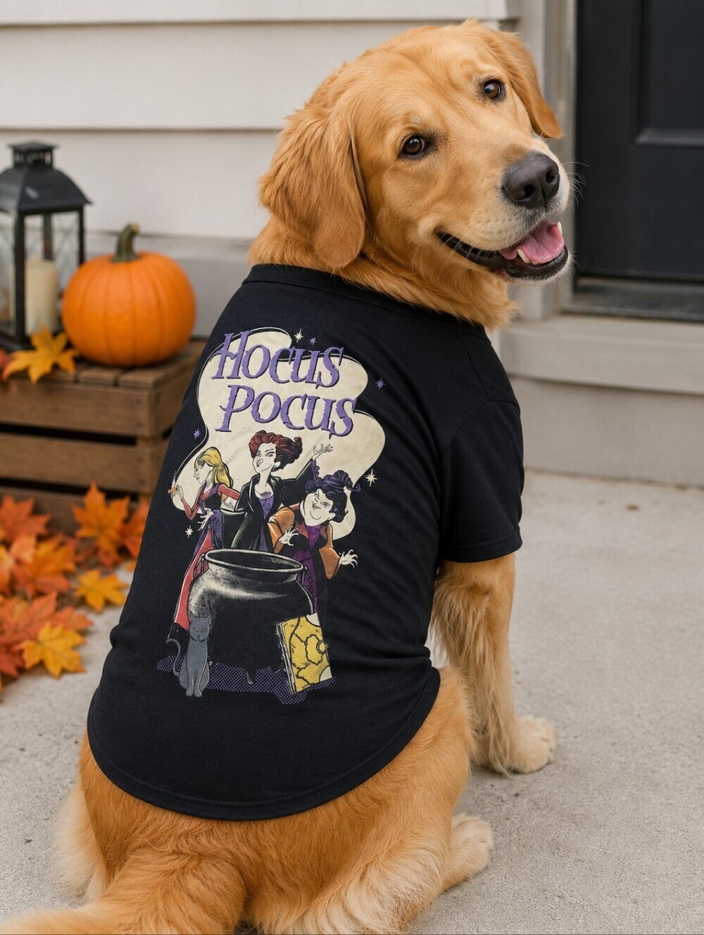 Disney Hocus Pocus Black Graphic Dog Tee T-shirt Size XL Pet Halloween Fall EUC